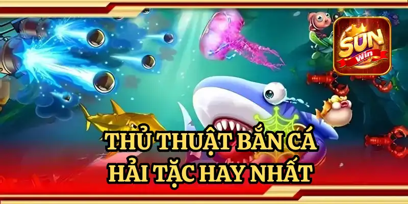 CÁCH CHƠI VUA HẢI TẶC THẰNG NHIỀU NHẤT